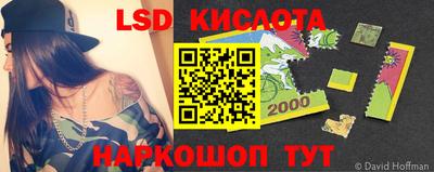гидропоника Владимир