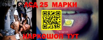 гидропоника Владимир