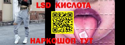 гидропоника Владимир