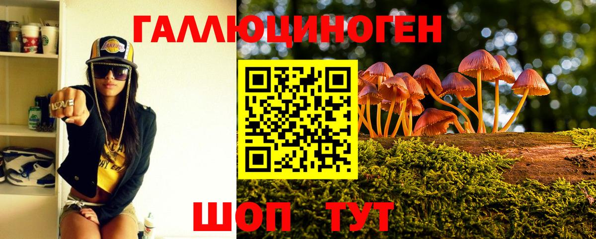Псилоцибиновые грибы мицелий Верхний Уфалей
