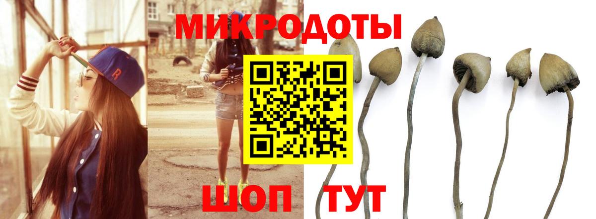 Верхний Уфалей  Галлюциногенные грибы MAGIC MUSHROOMS  Вход с VPN  Псилоцибиновые грибы мухоморы 